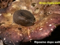 riposino-dopo-salita