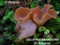 1-gelatina-arancione