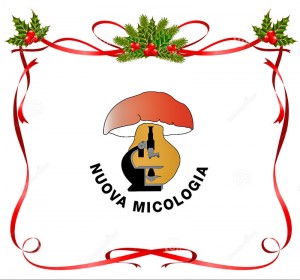 http://www.dreamstime.com/stock-photos-christmas-ribbons-decorated-image17381253