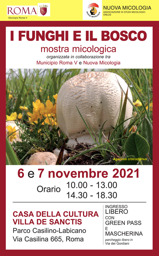 locandina-incorniciata-2021