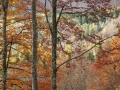 Trasparenze-G.Marciano